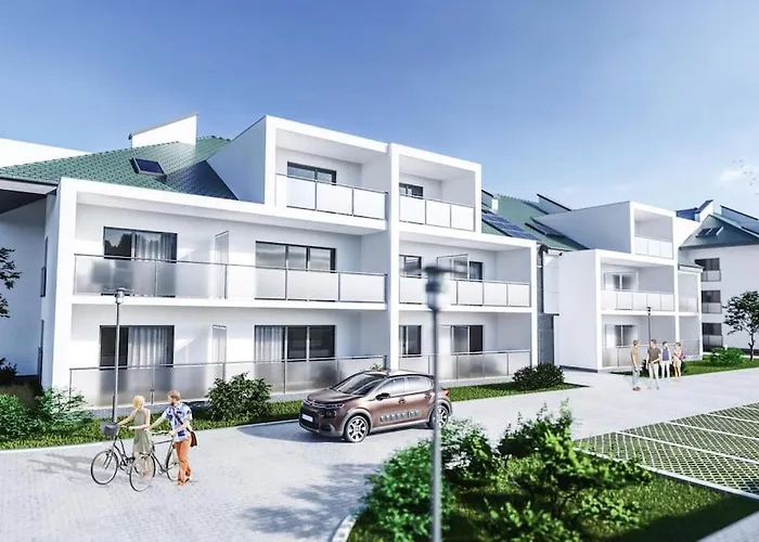 In Near The Grzybowo (West Pomeranian)